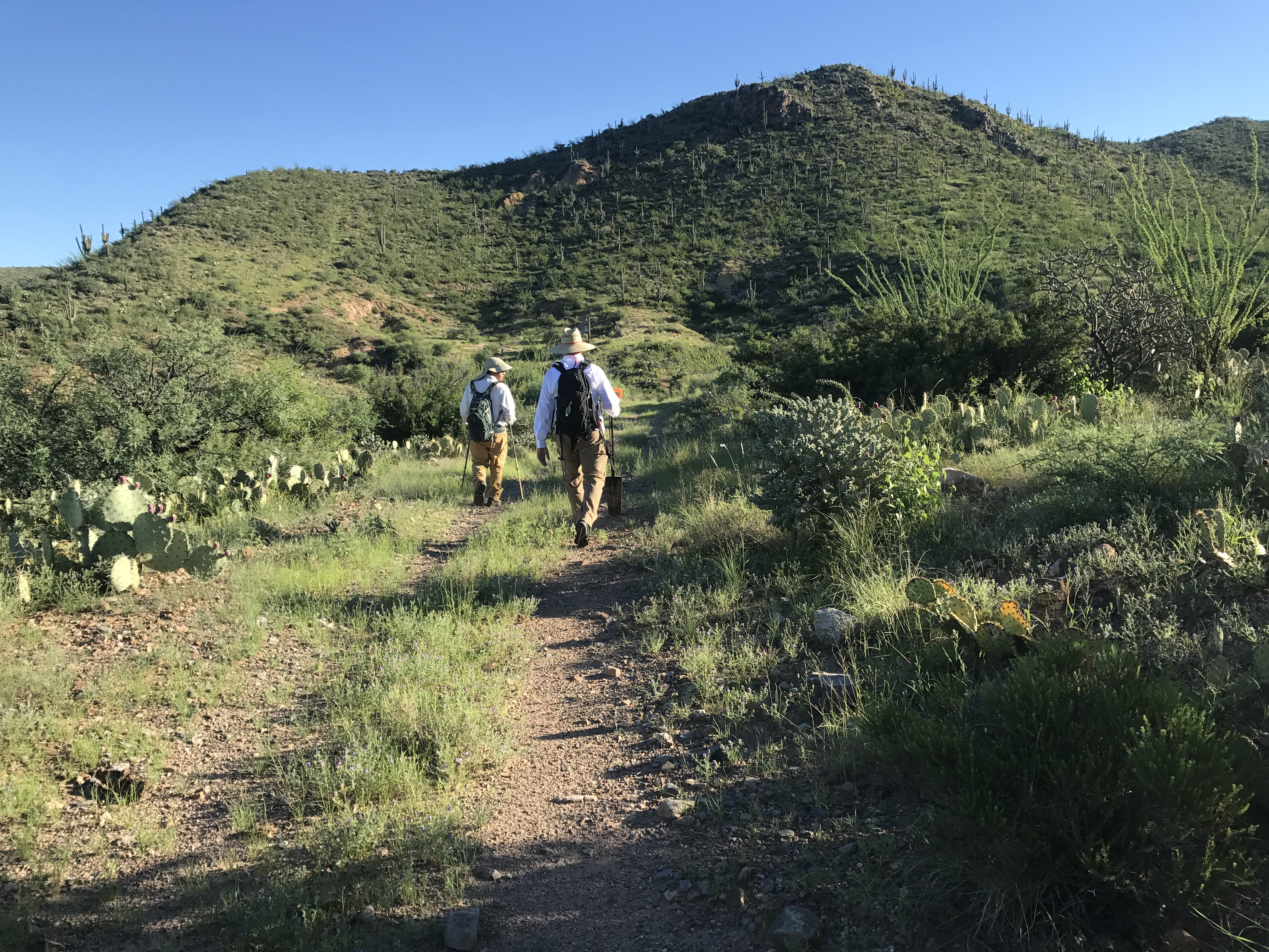 Collecting soil samples from Mt. Lemmon near Tucson, Arizona