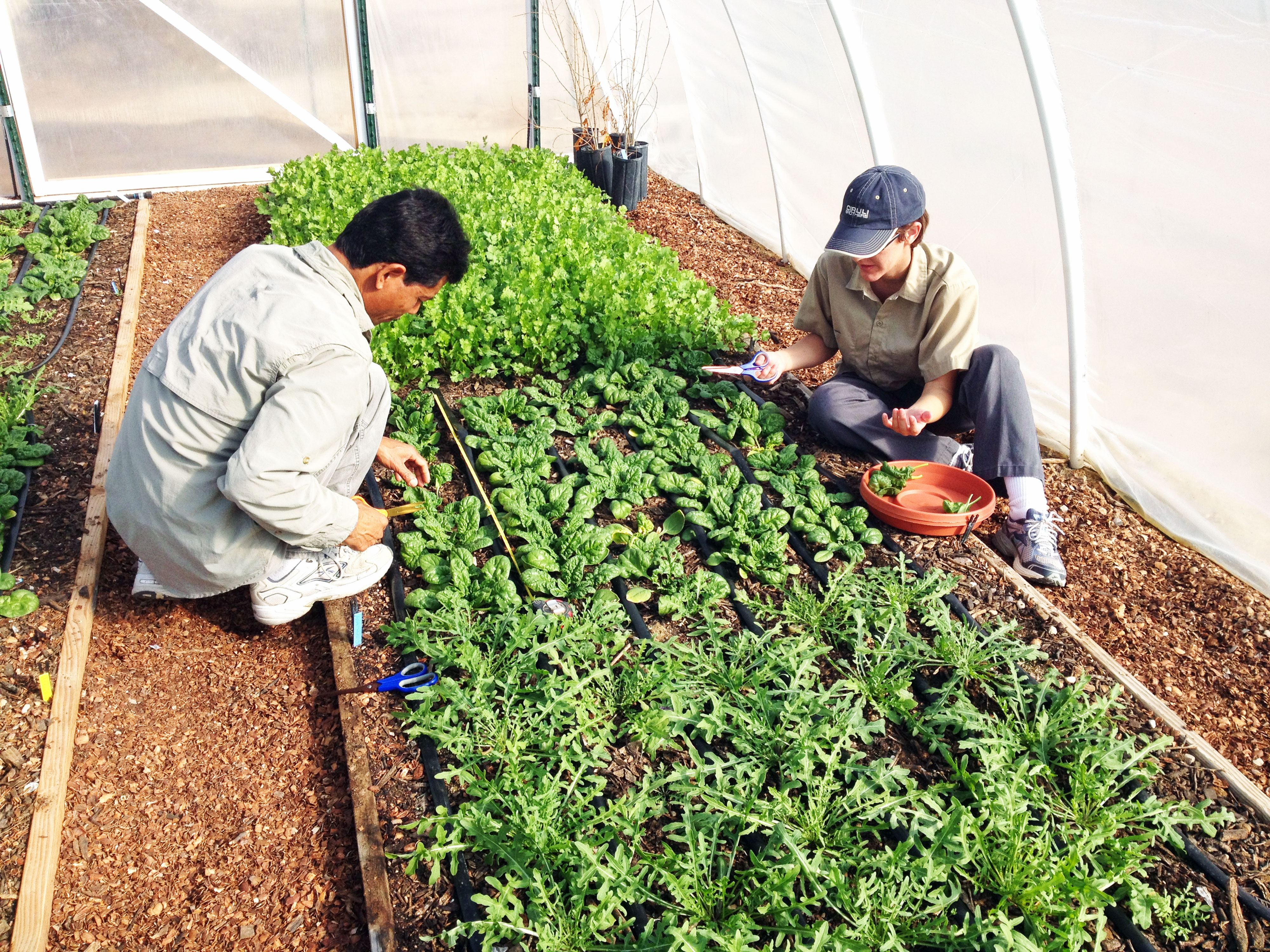 Students studying horticulture practices