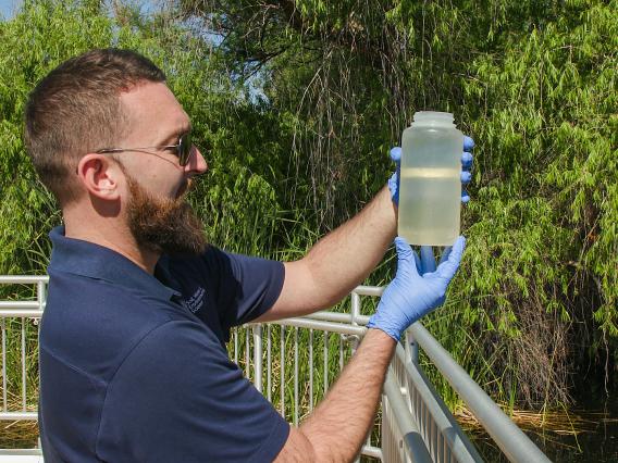 Student studying water quality