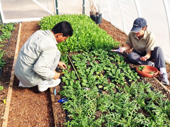 Students studying horticulture practices