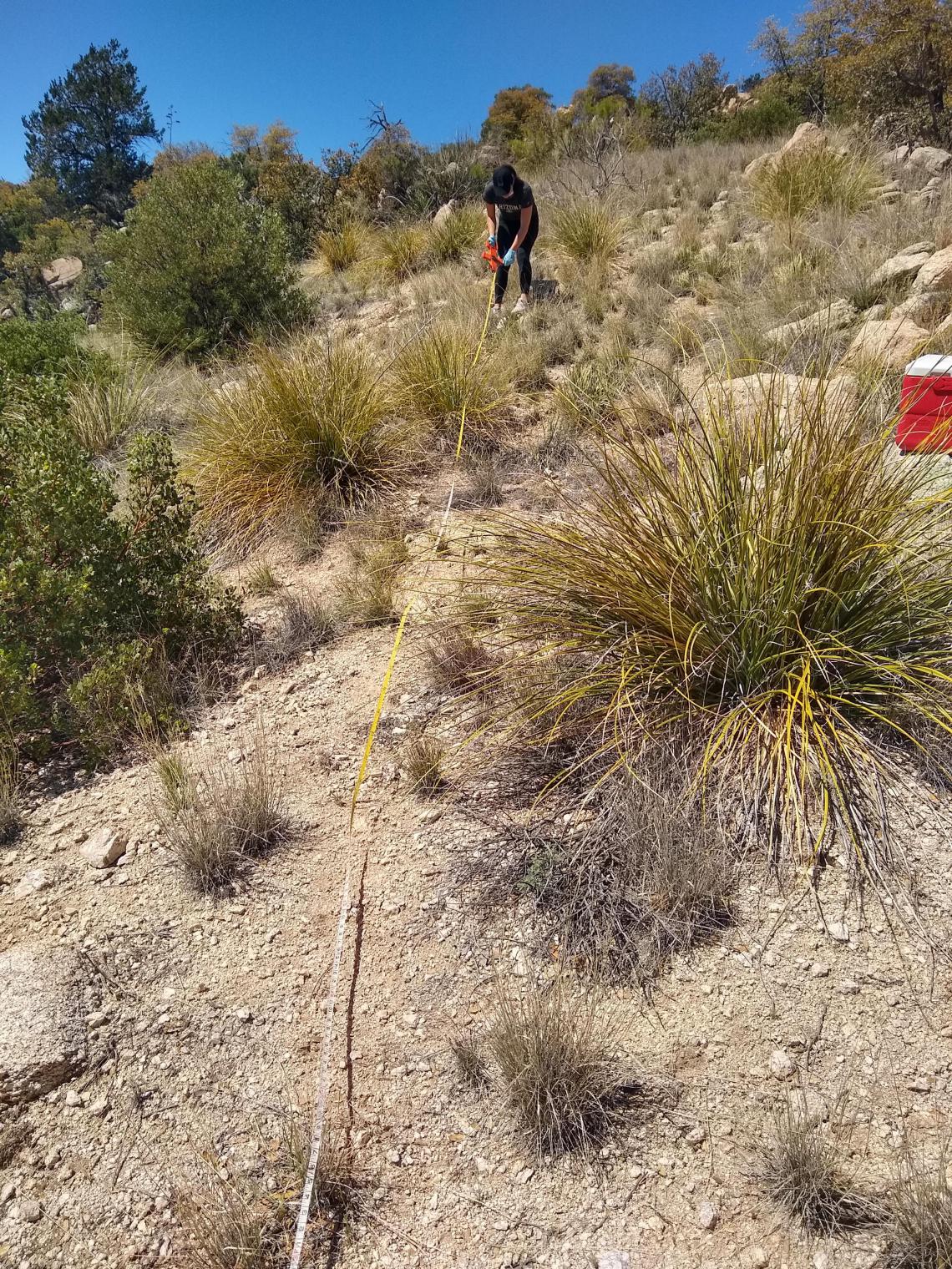 Studying microbial communities in the desert