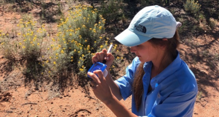 Ella Kaufman interned in a lab studying rangeland management