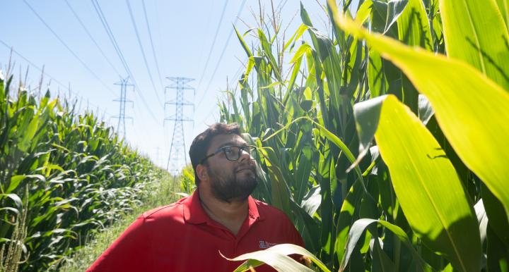 Debankur Sanyal inspects cover crops